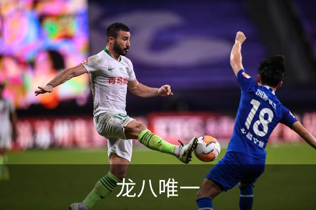 龙八唯一公司简介